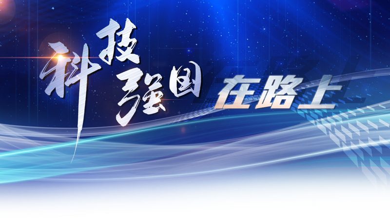 上海SaaS平台API接口参数集成费用解析